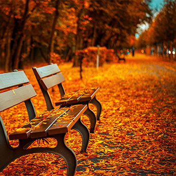 快速数据索引的ddos网页端源码