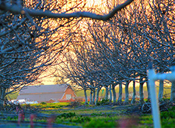 在线DDOS平台攻击